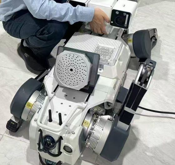 最新 最新